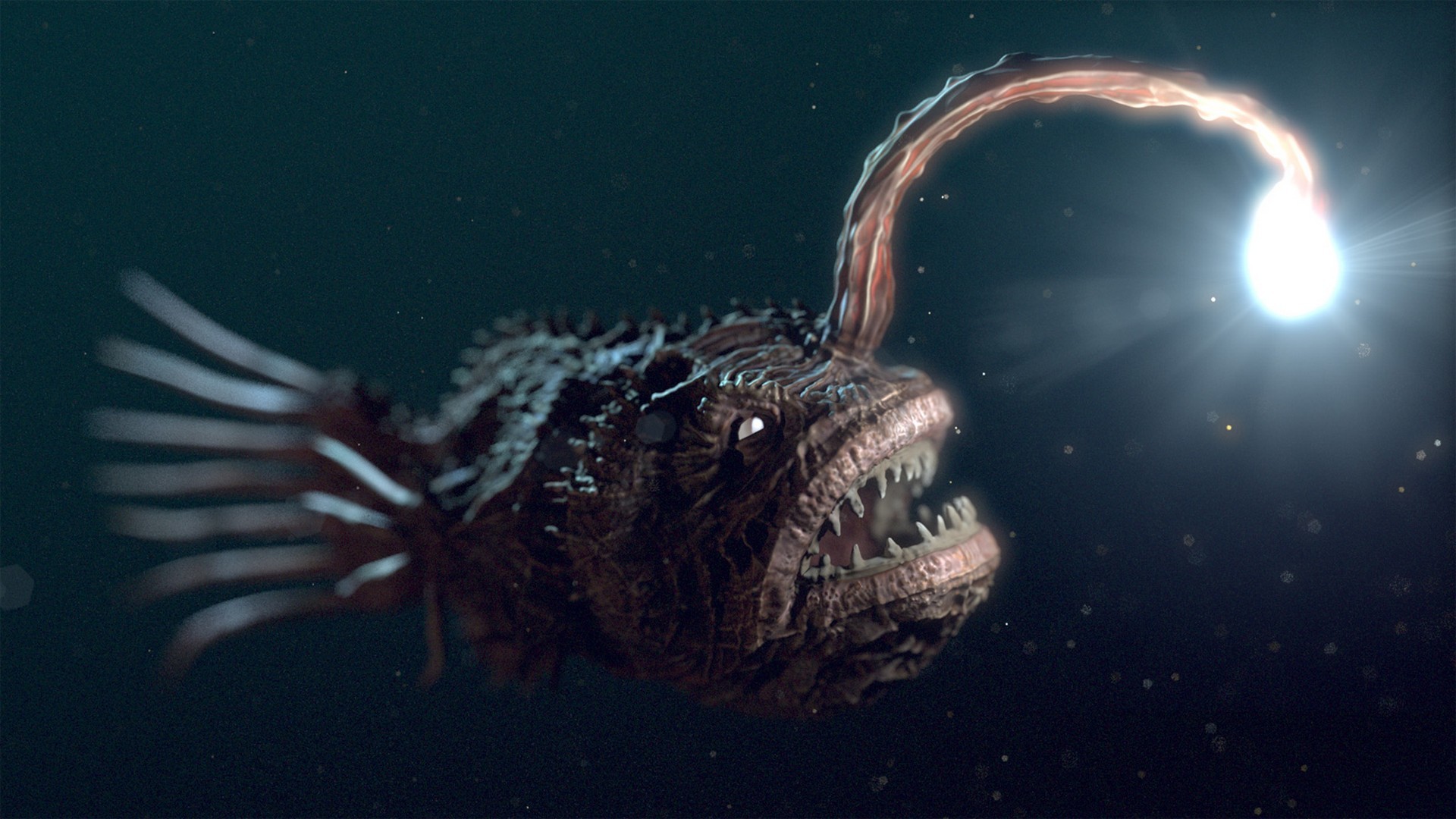 Here are the 7 weirdest deep-sea creatures with quirky abilities