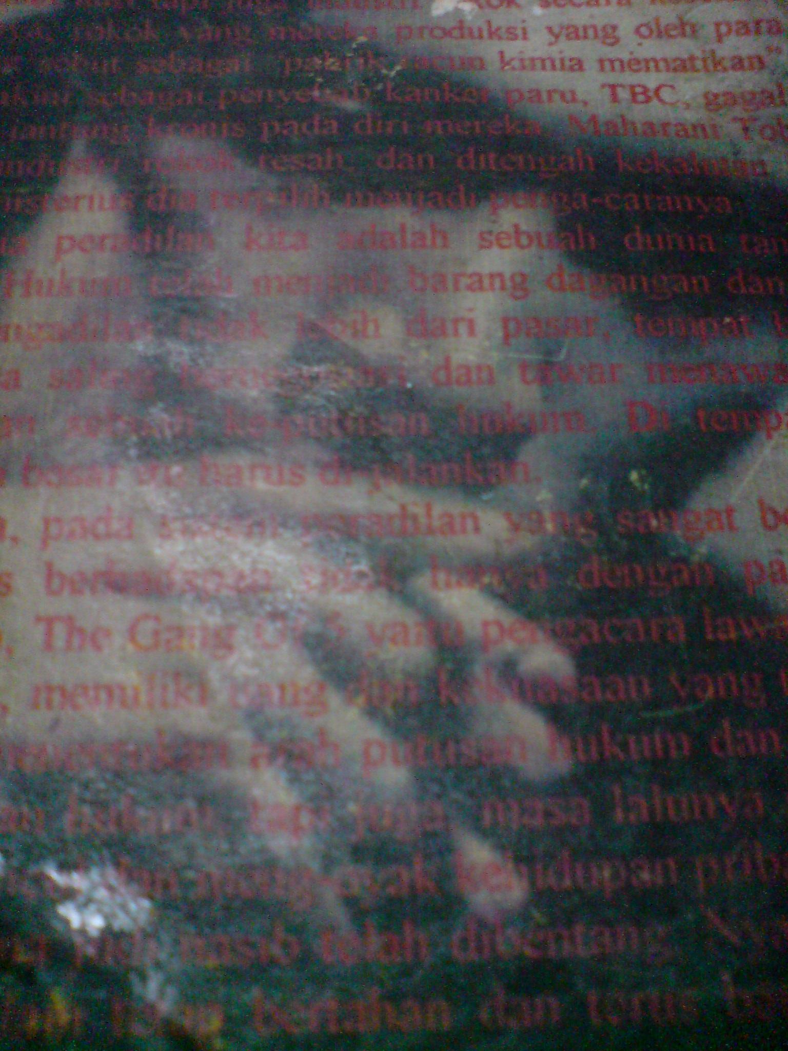 Juni 2009 Etlooke S Blog Laman 3