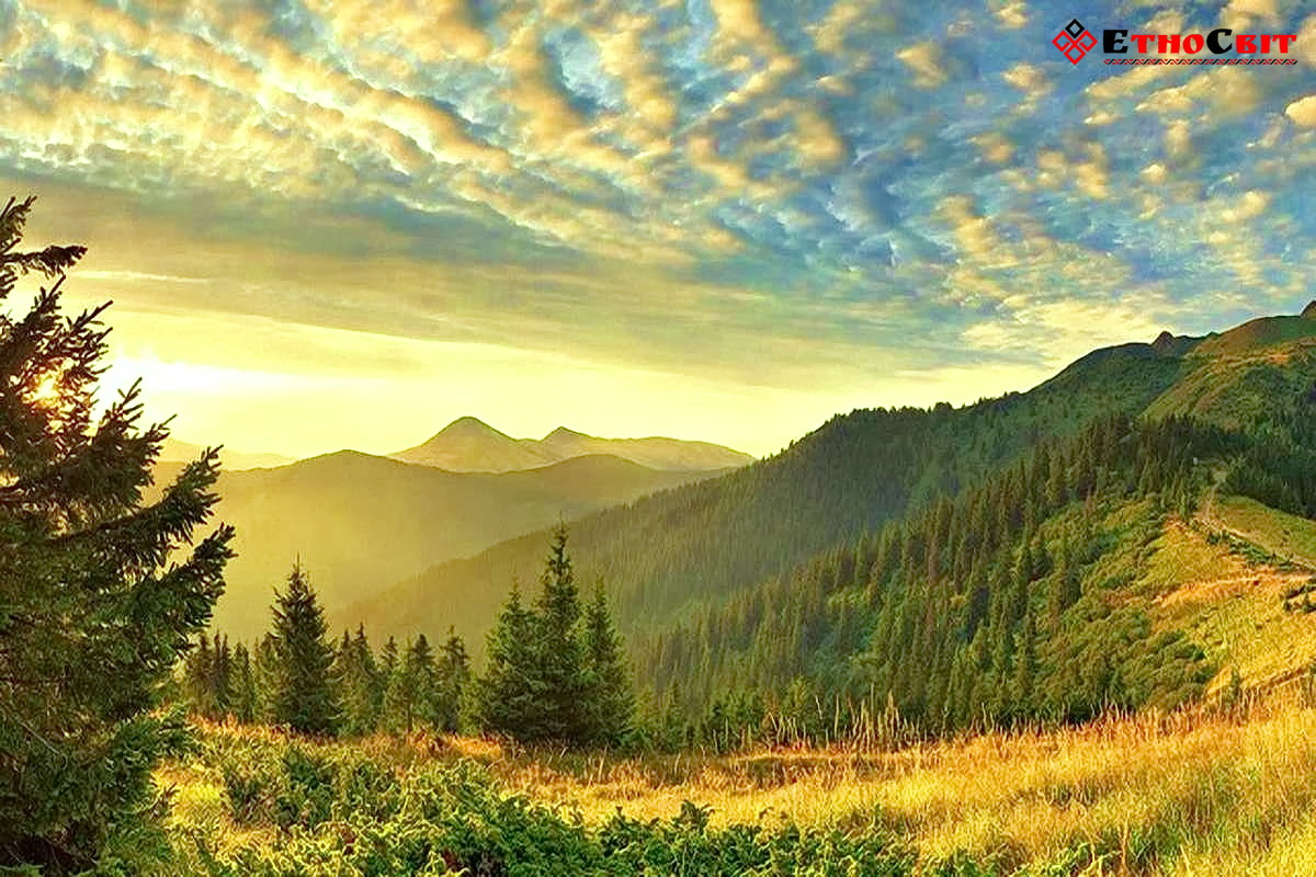 Экскурсии по львову и восточным карпатам. Tury V Karpaty So Lvova