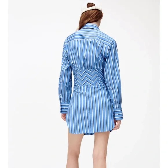 Stripe Corset Waist Shirt Dress