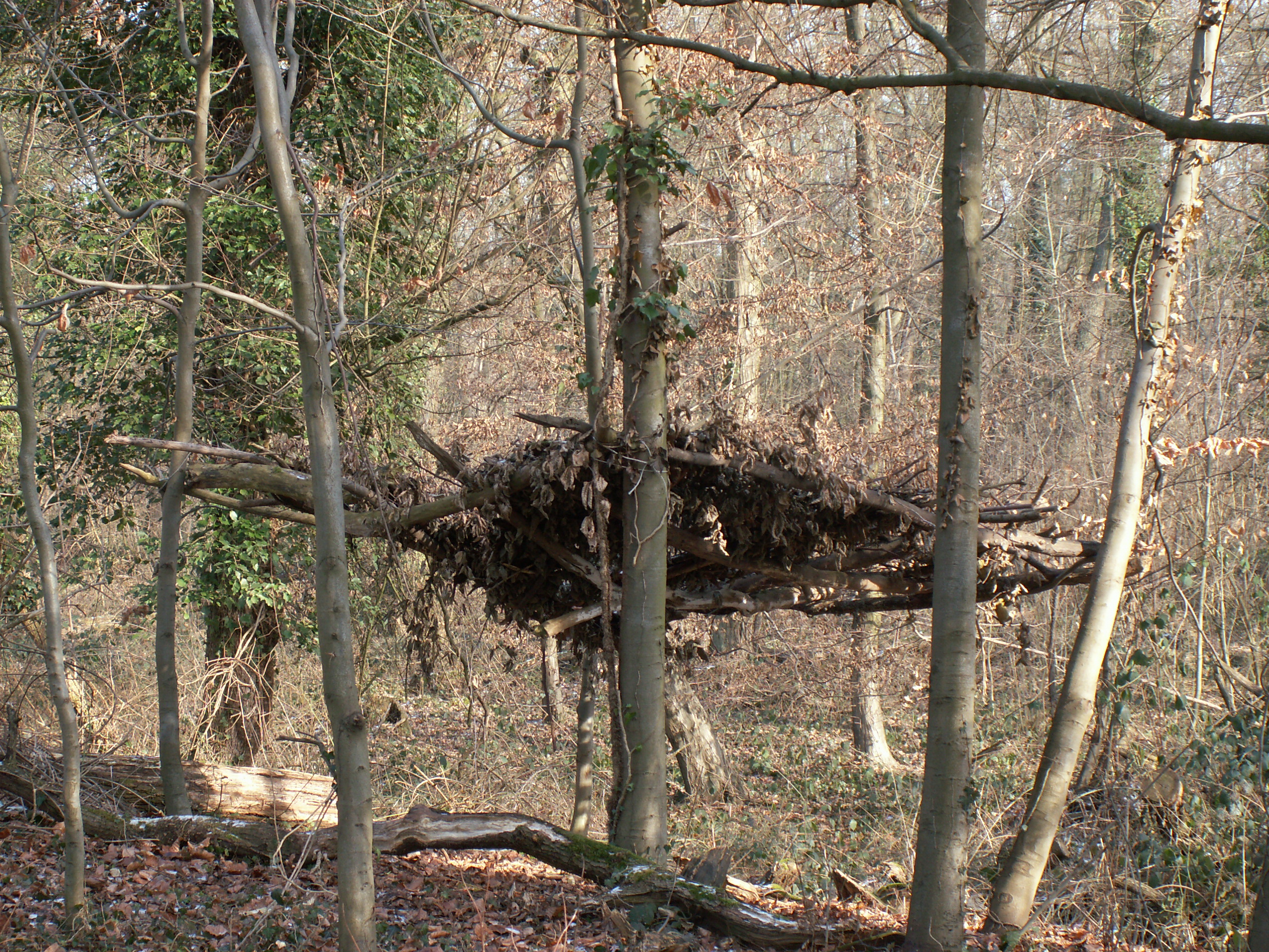 KONICA MINOLTA DIGITAL CAMERA