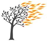 EU Biomass Legal Case
