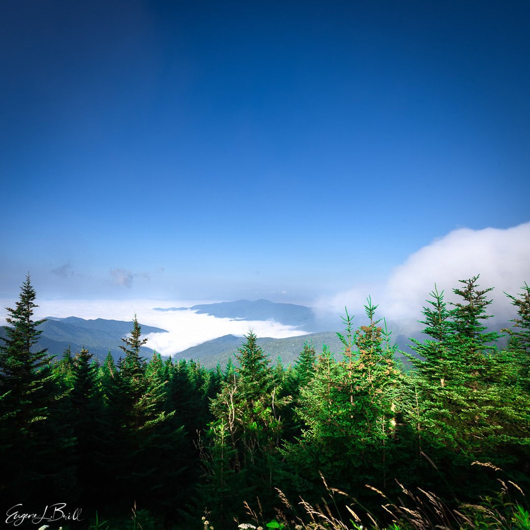 Clingmans Dome on the Appalachian Trial The Wannabe Naturalist Edition 2021-Q3