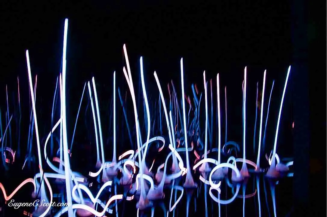 Chihuly glass art