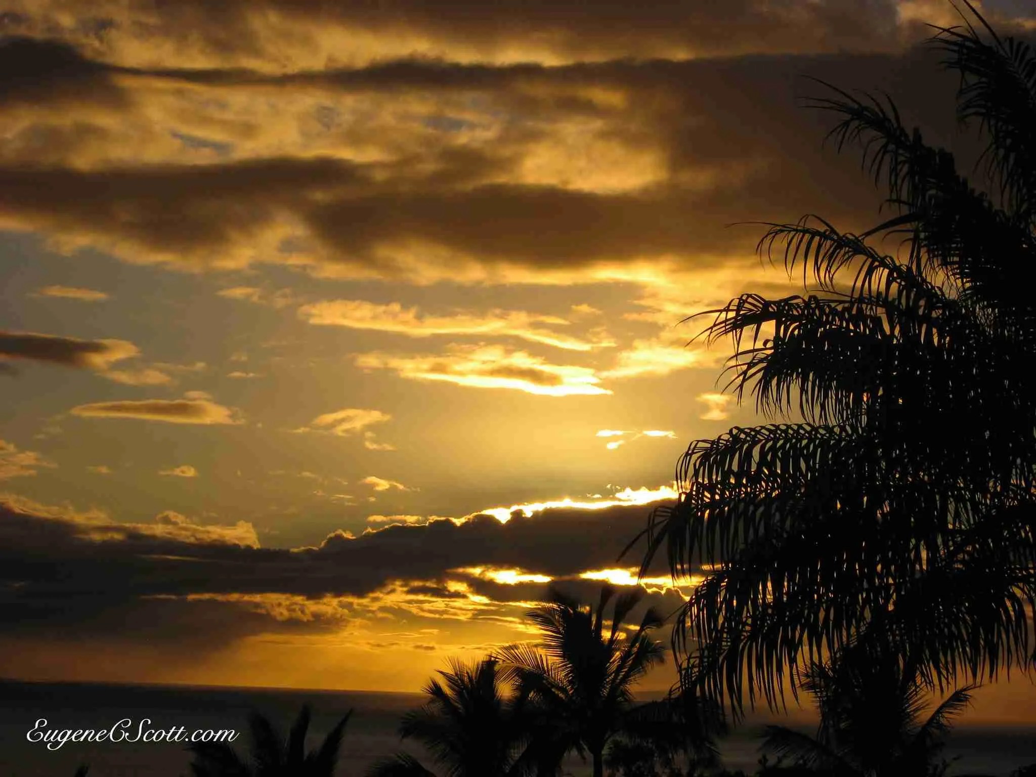 Sunset in Hawaii