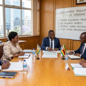 Public Procurement and Winning Tenders in Zimbabwe