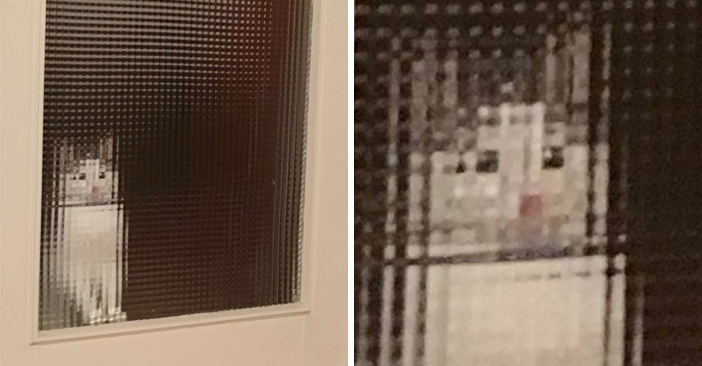 あら不思議 飼い主さんの帰宅を待つ猫がドット絵みたい 画像6枚 エウレカ