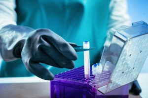 Biobanking. Technician preparing biological sample for deep free