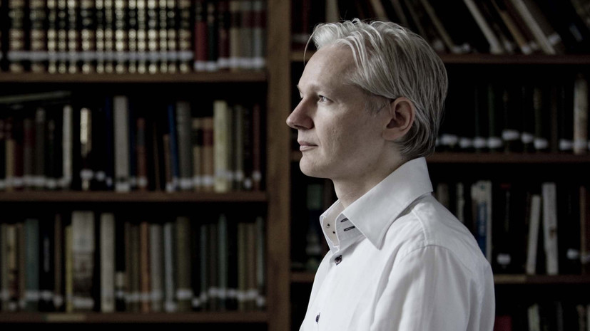 Assange created Alternative Media – ex-CIA analyst
