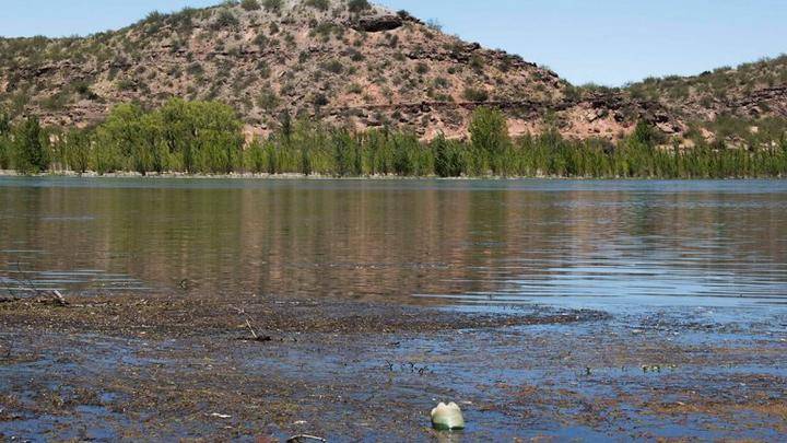 Lirio invade el río Tunal y frena la vida acuática en Durango