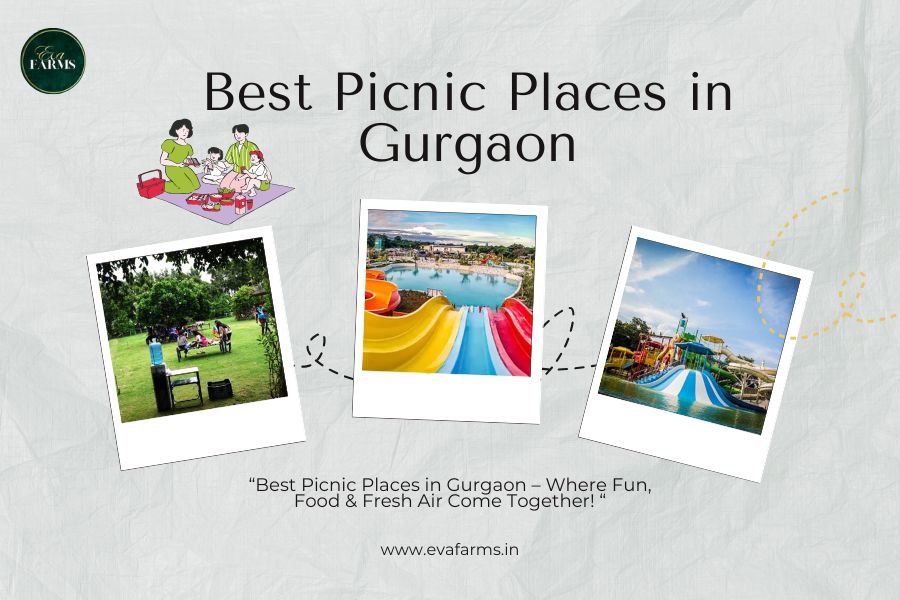 best picnic spots in Gurgaon