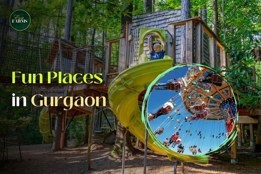 fun places in gurgaon