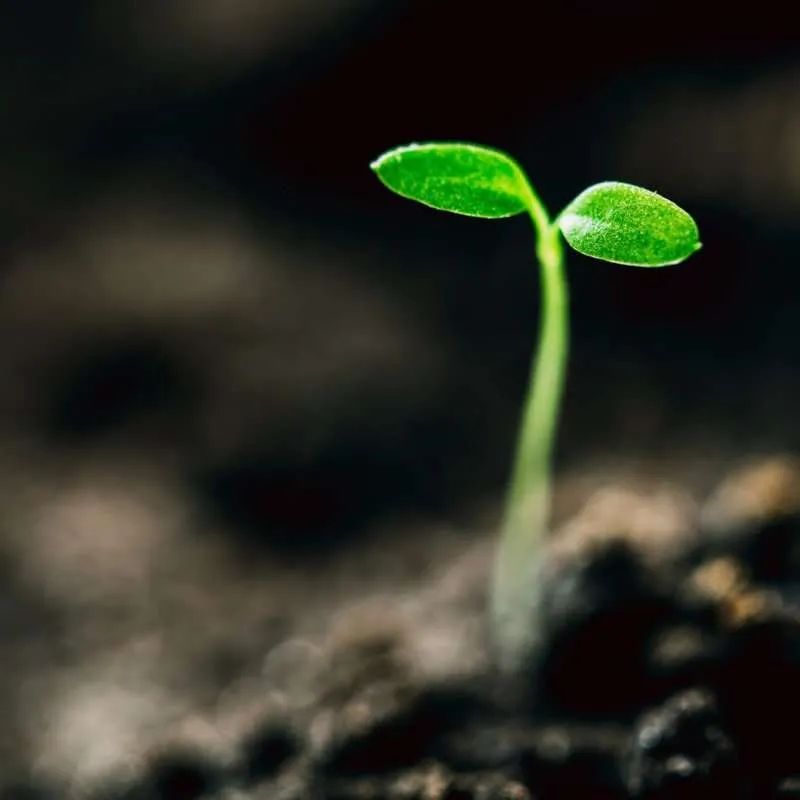 May Pulse - Stunning Ultra HD Landscape Photos | Free Download