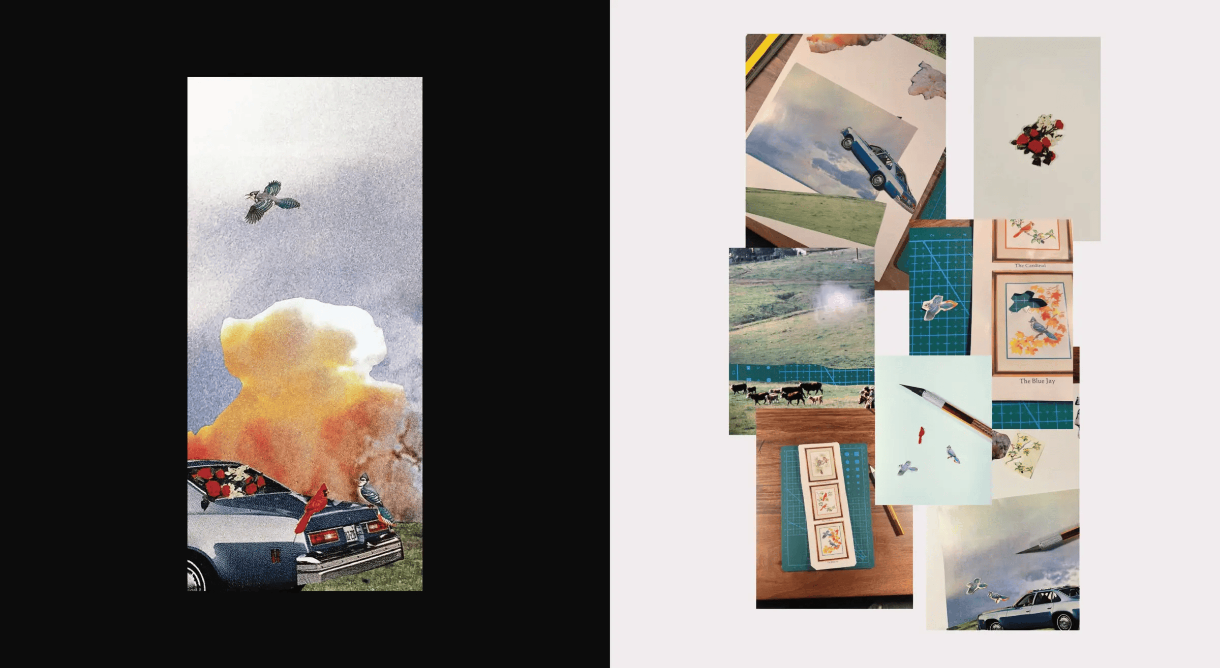 National Geo Graphics — Presentation 12
