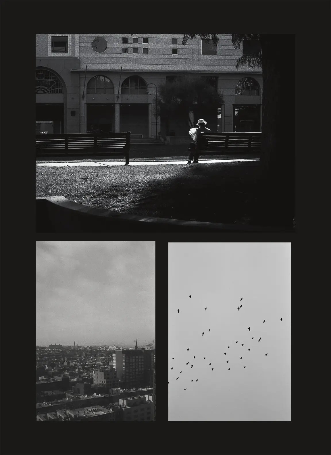 Digital Sketchbook — Photography Sheet 17