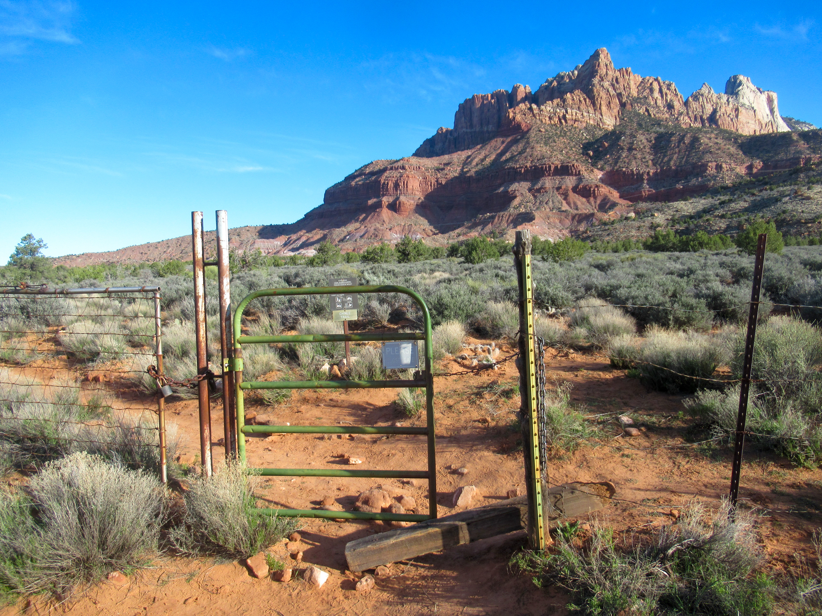 Zion National Park: Tackling Mt. Kinesava — Evan Quarnstrom