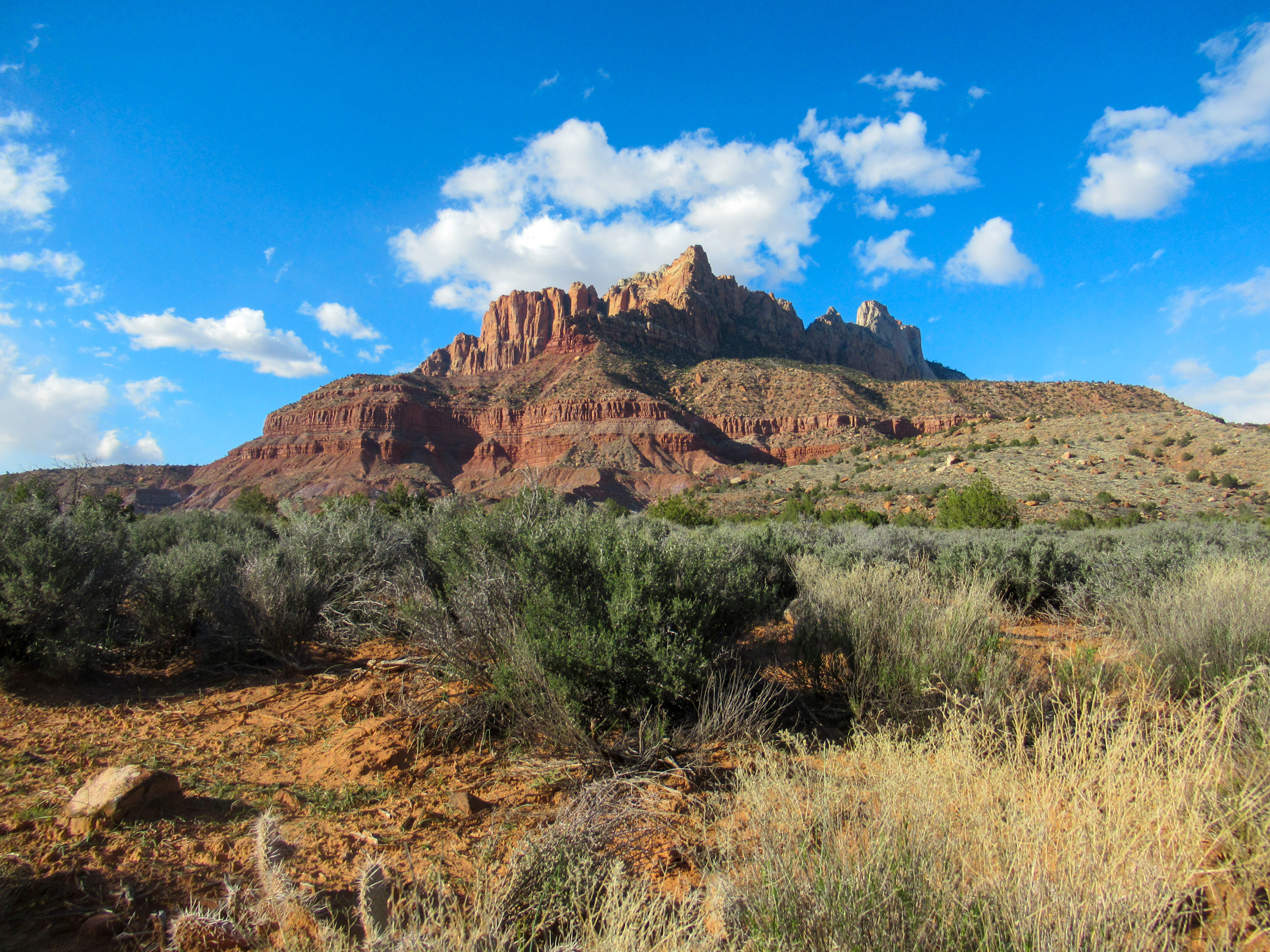Zion National Park: Tackling Mt. Kinesava — Evan Quarnstrom