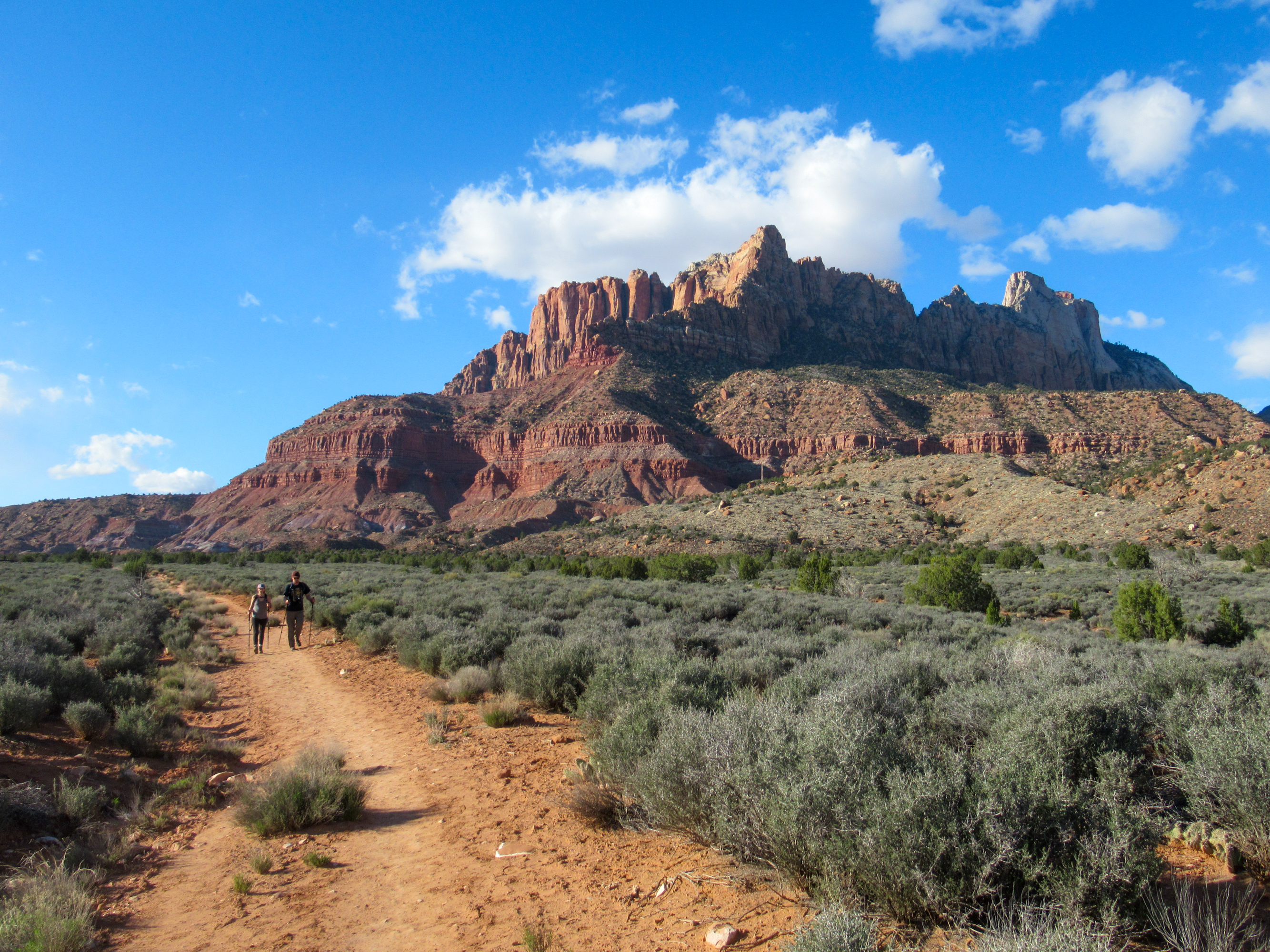 Zion National Park: Tackling Mt. Kinesava — Evan Quarnstrom