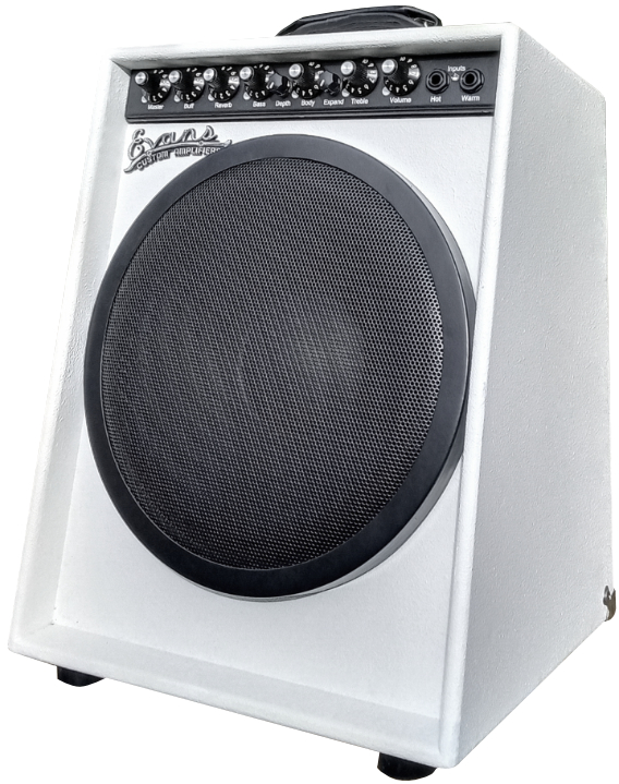 Evans PureFire 300 - Evans Custom Amplifiers
