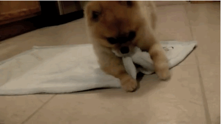 bedtime