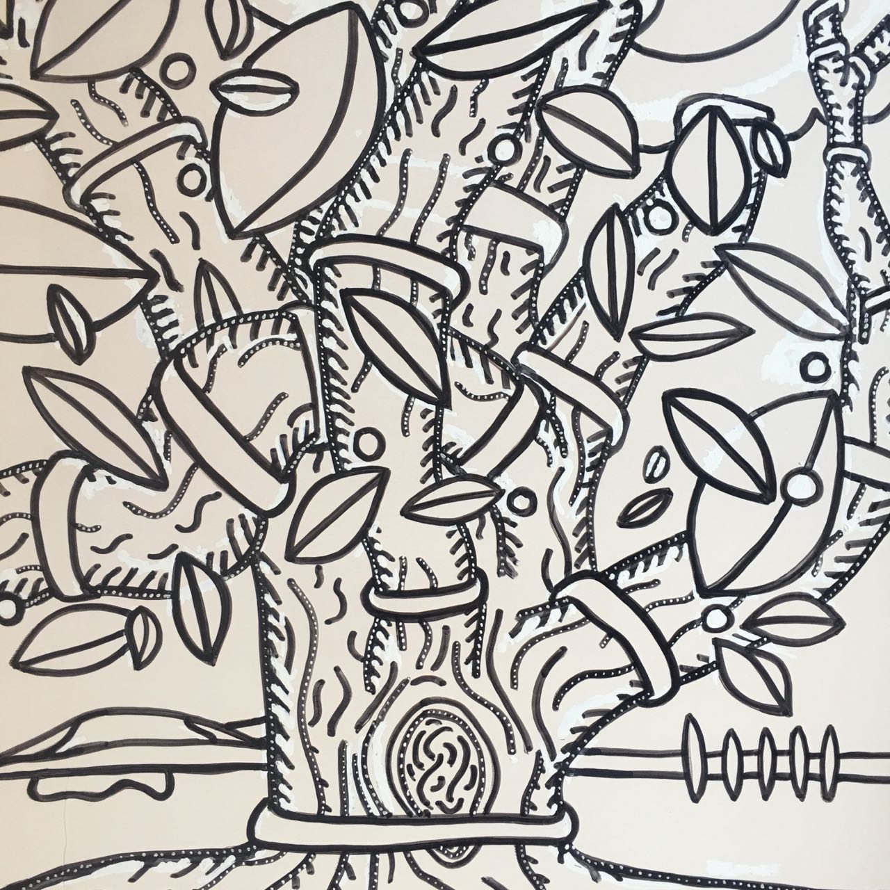 Tree Rings