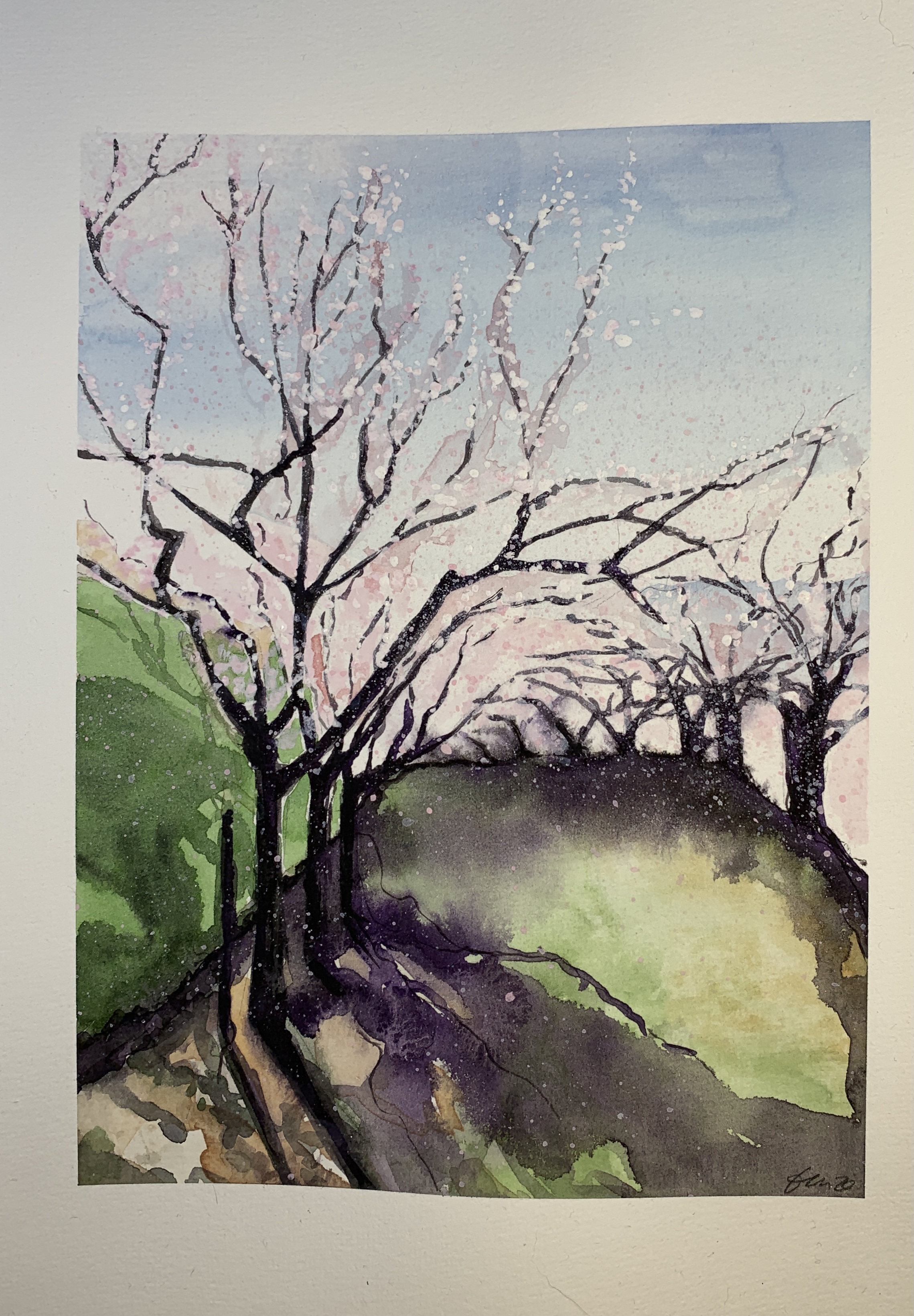Aquarell "Aprikosen Grône"