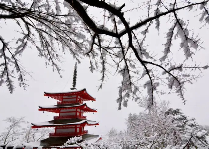 Le Japon en février : festivals enneigés, sports d’hiver et premiers signes du printemps