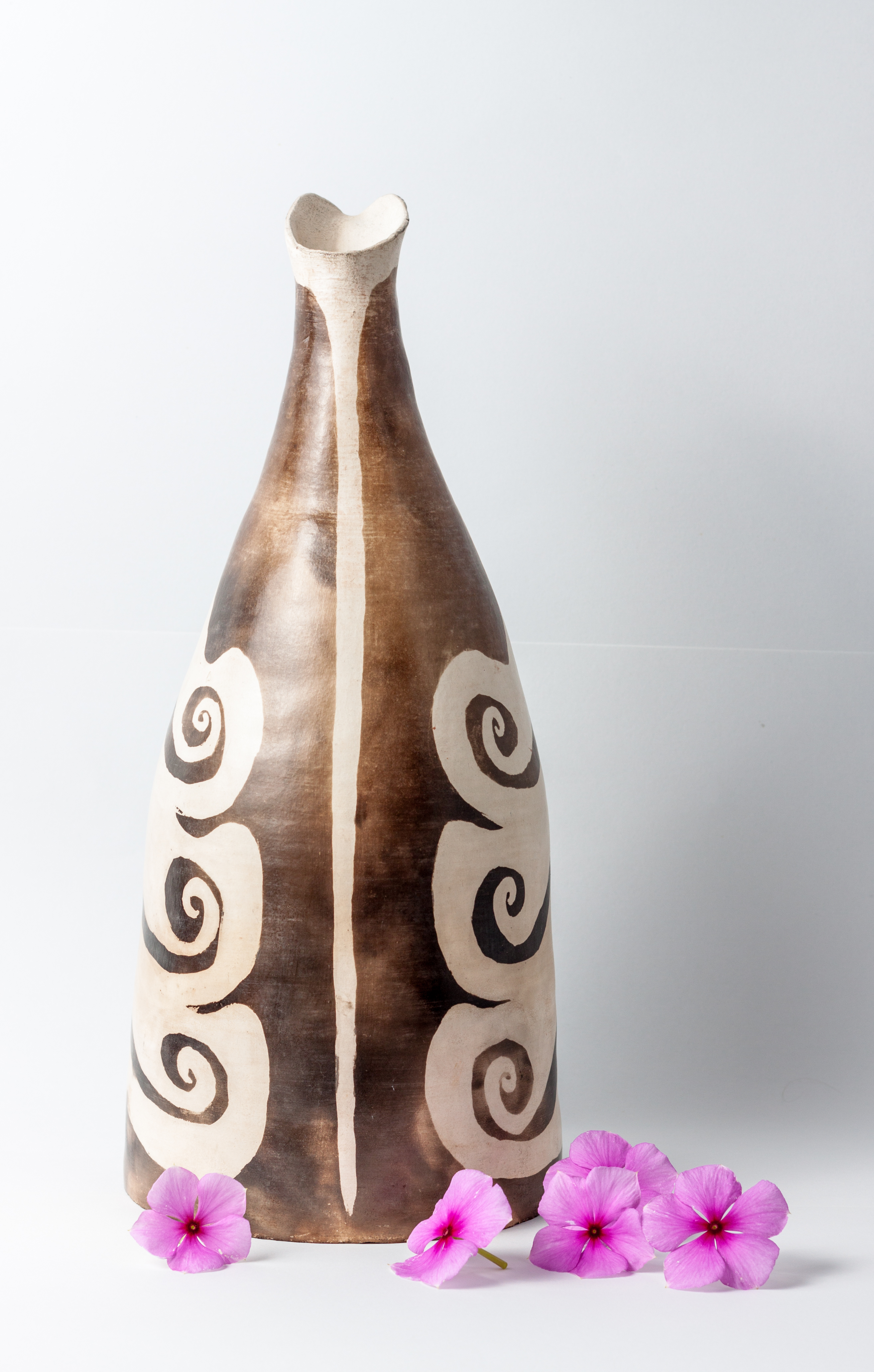 Cisne cuello negro, cuello blanco