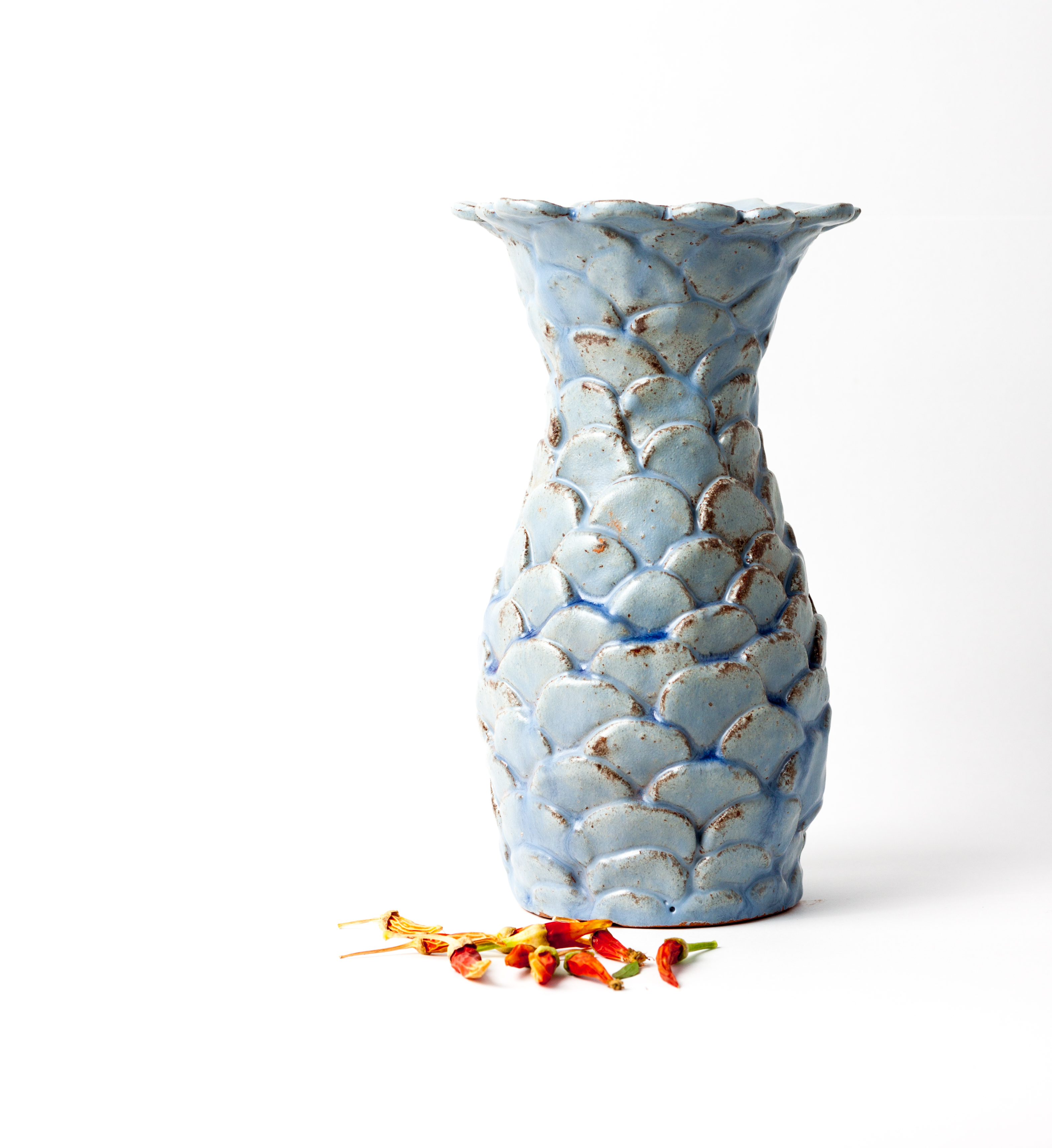 Las escamas del Dragón