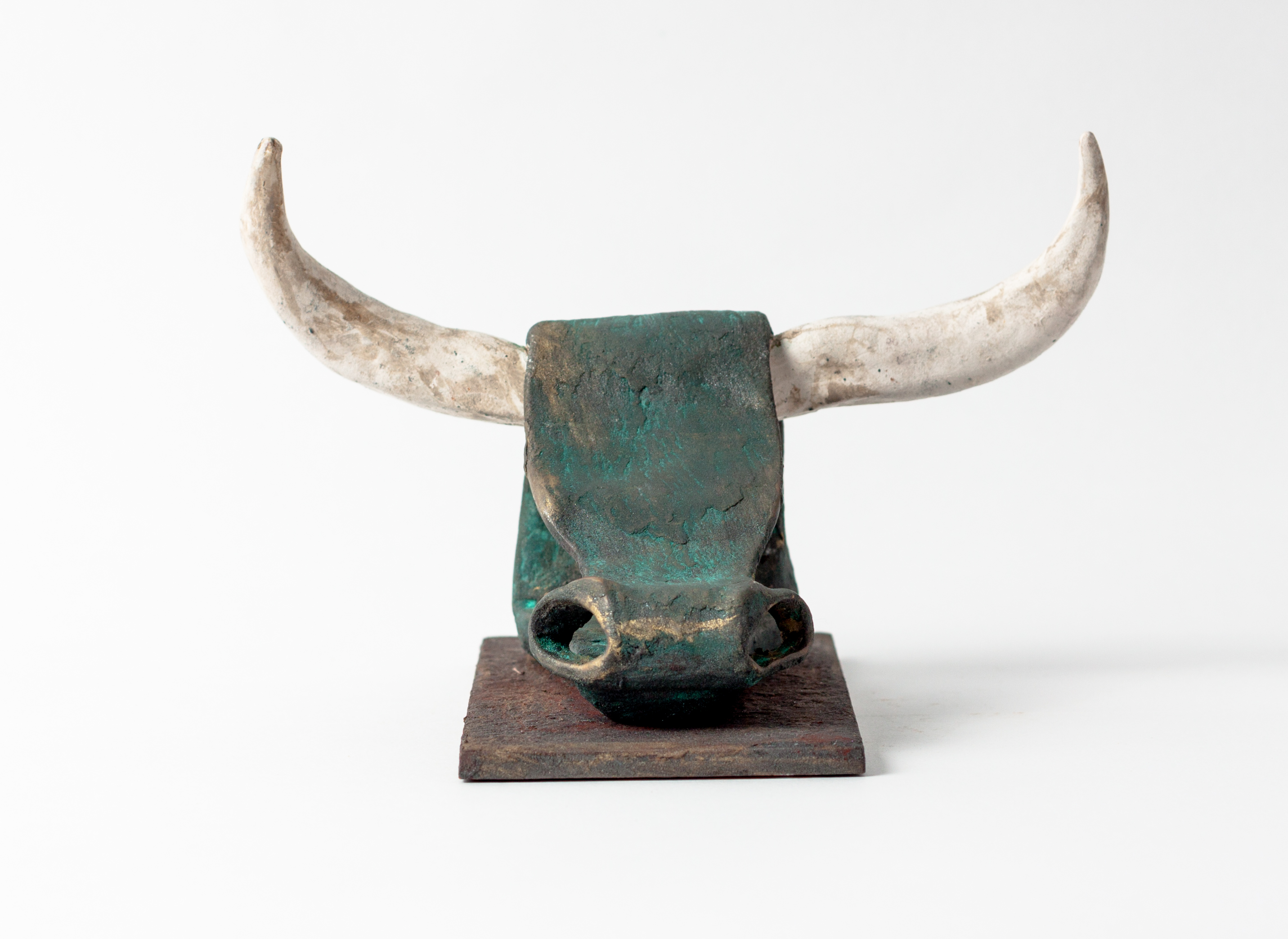 Toro finalista en Premios Joselito 'El Gallo'. Frente.