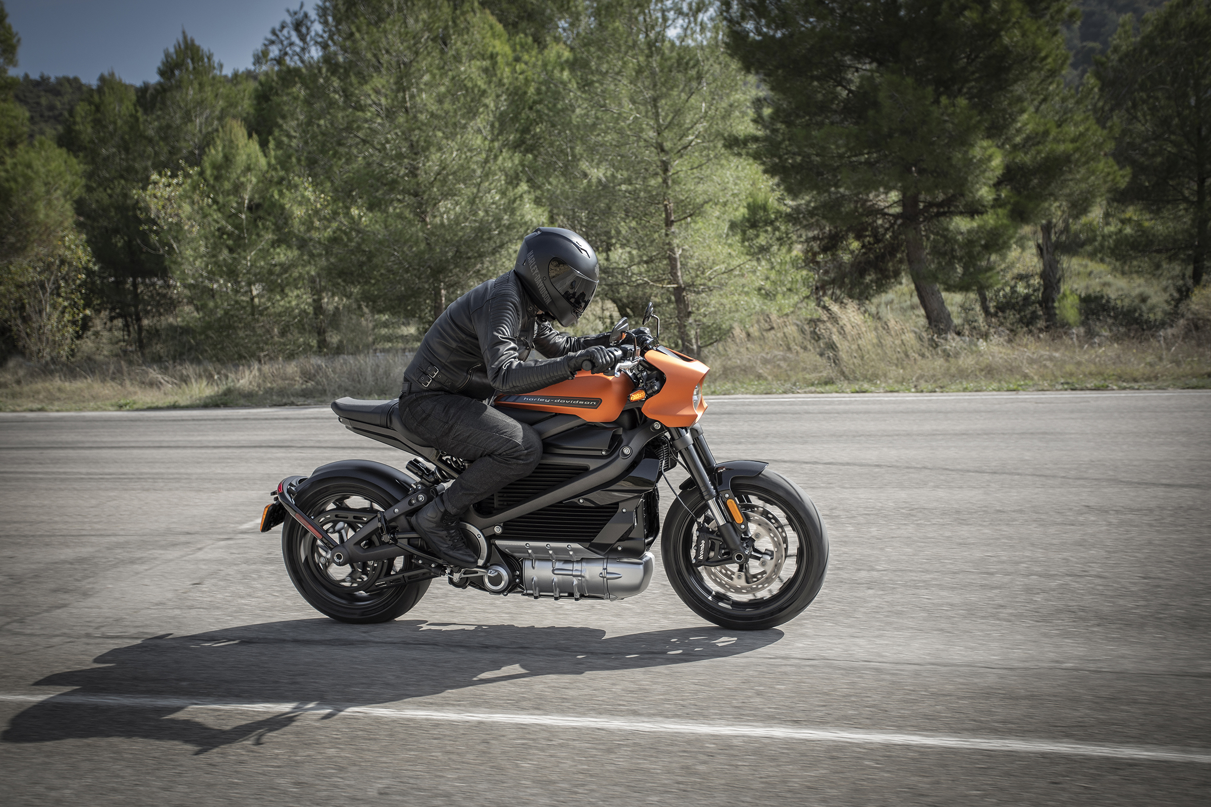 Harley-Davidson LiveWire may be the 