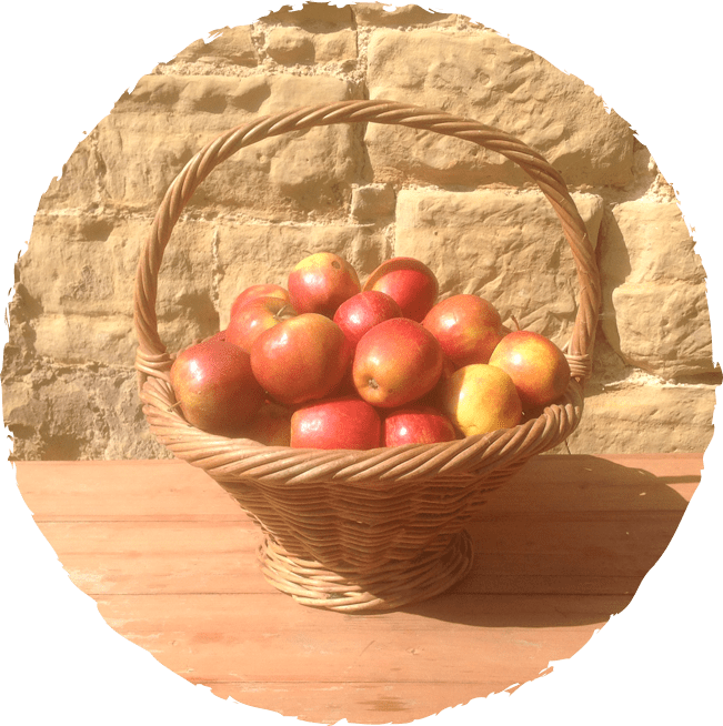 collec t your apples in easily liftable bags