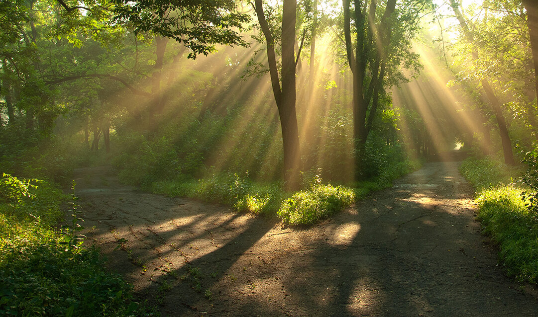HealingPath