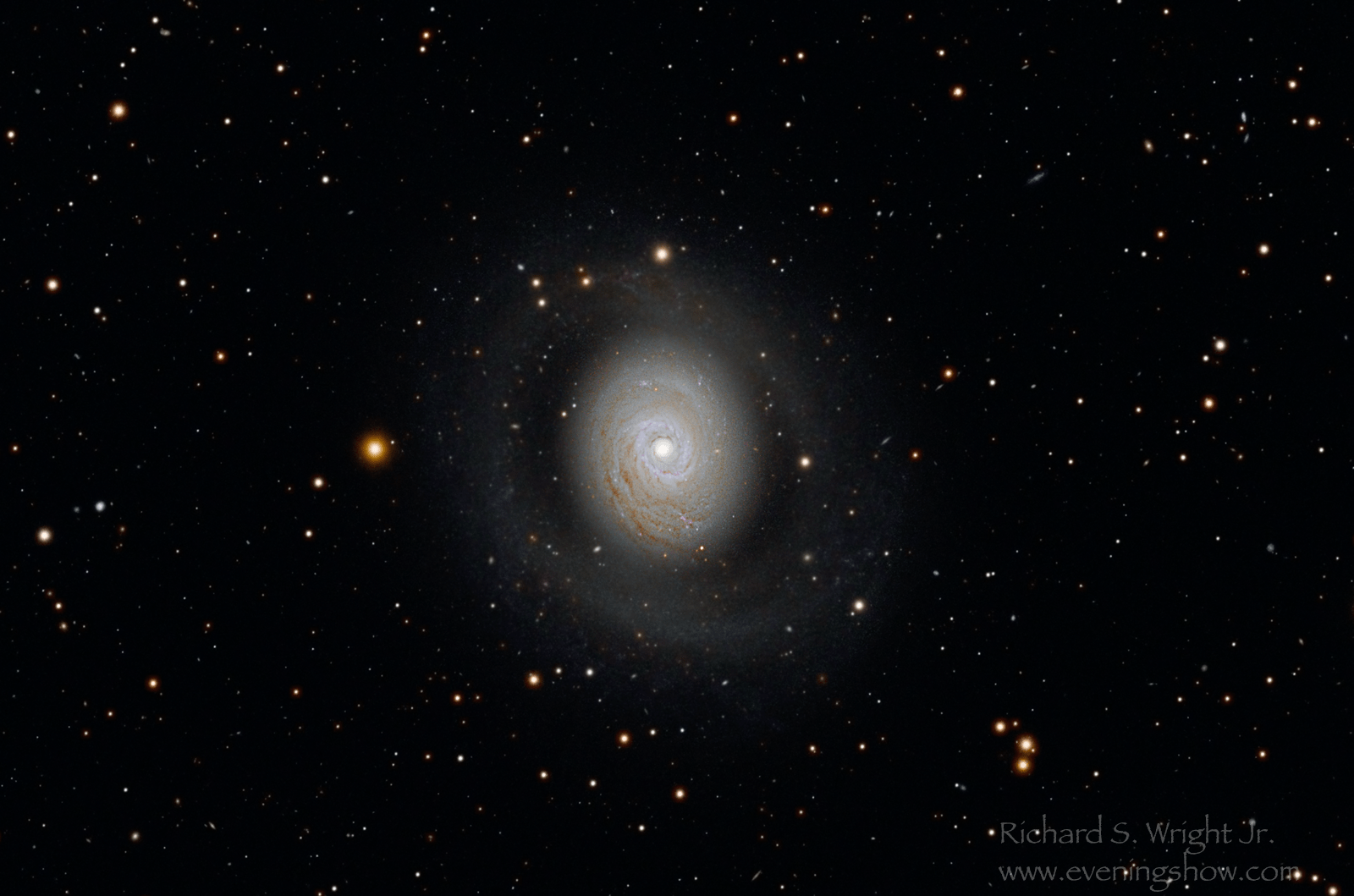 Image of M94