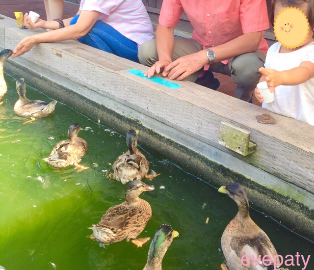 掛川花鳥園は餌やりにイベントも盛りだくさん 子供は入園無料で楽しめる 掛川花鳥園は餌やりにイベントも盛りだくさん 子供は入園無料で楽しめる