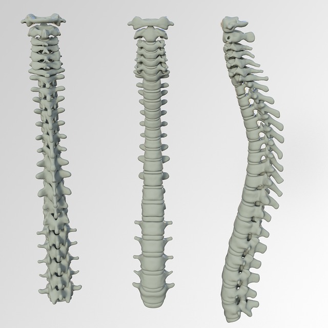 adjustable bed position for lower back pain