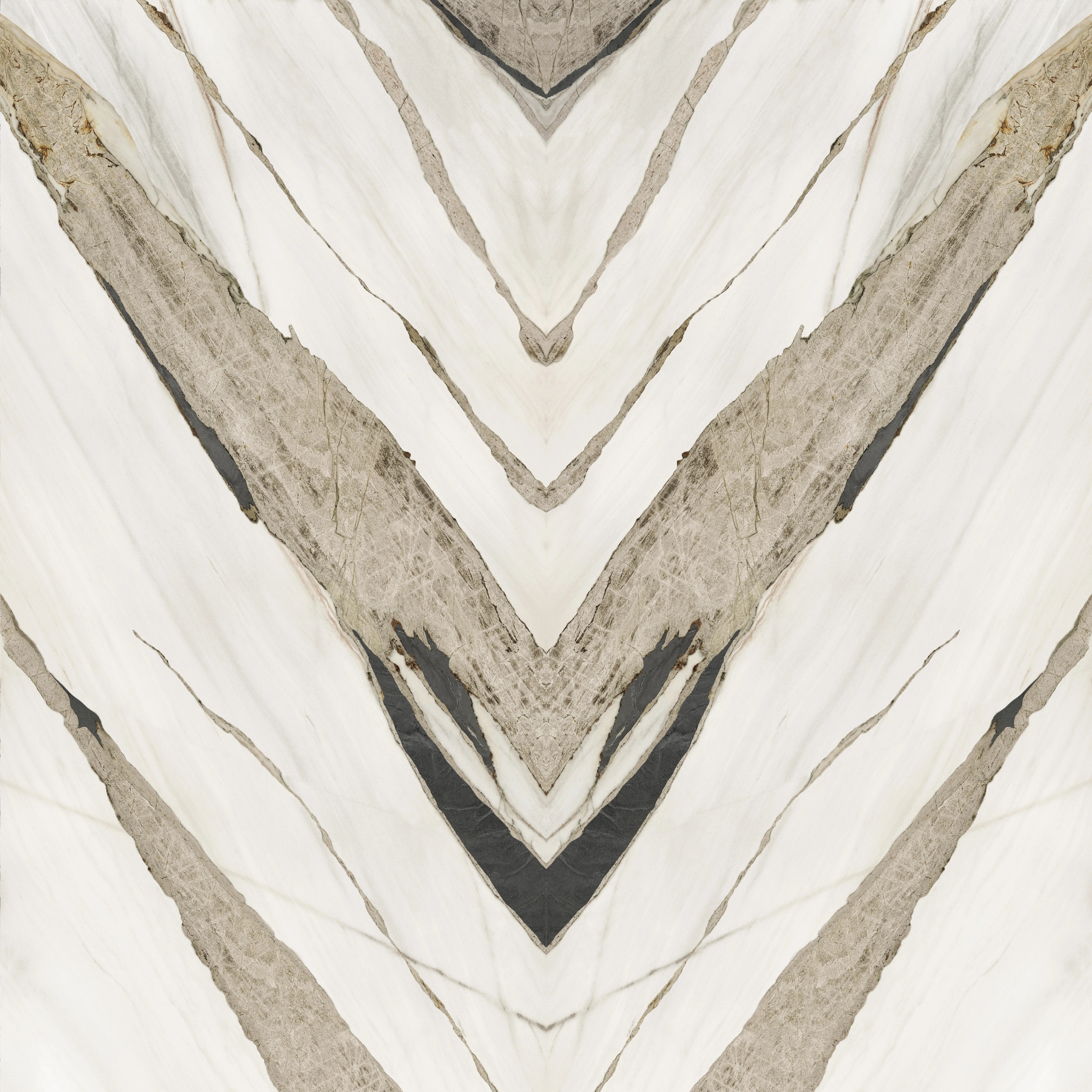 Bianco Swan