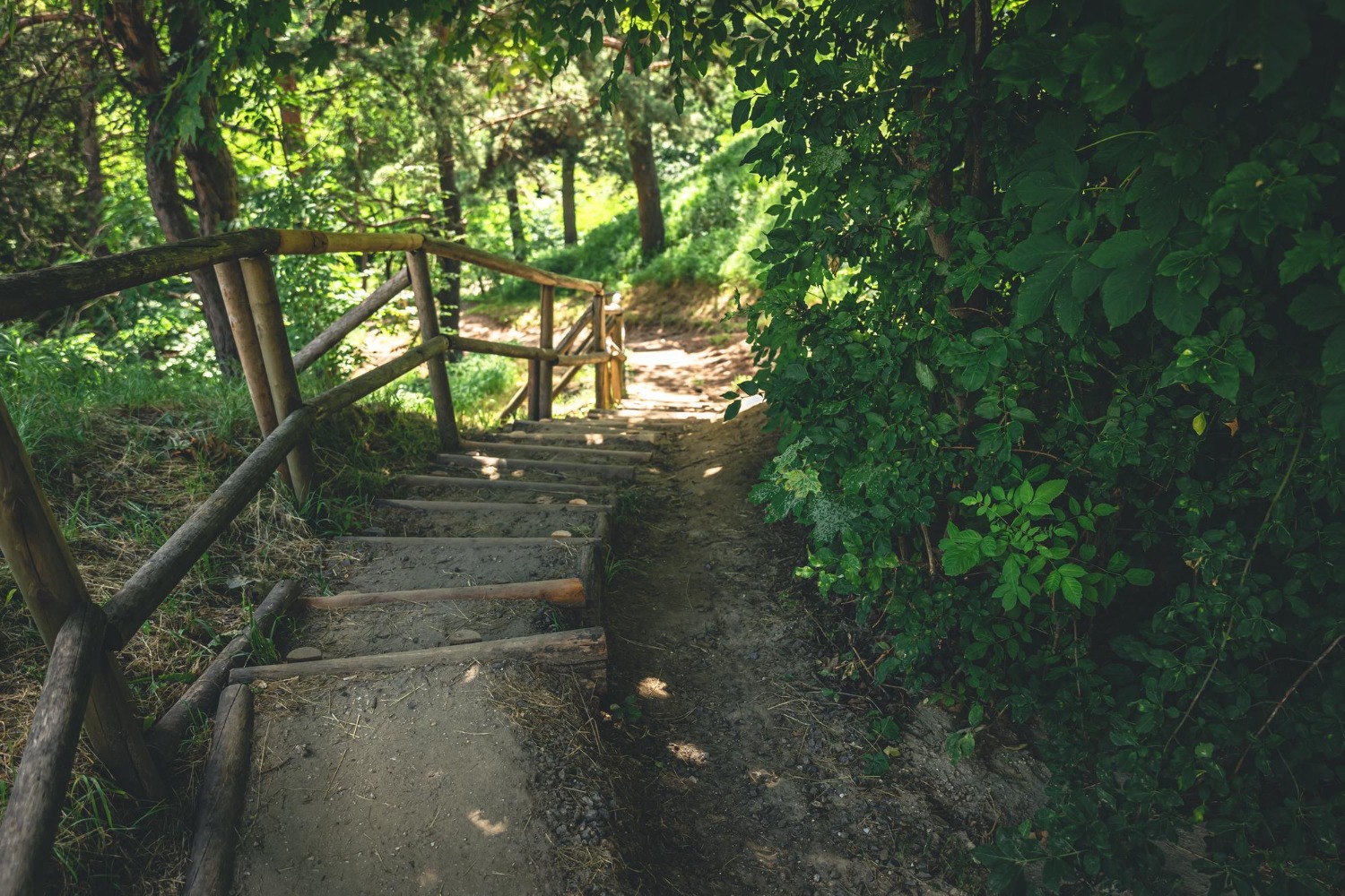 Evergreen Colorado Hidden Hikes 2026 Local Trail Guide 22465 