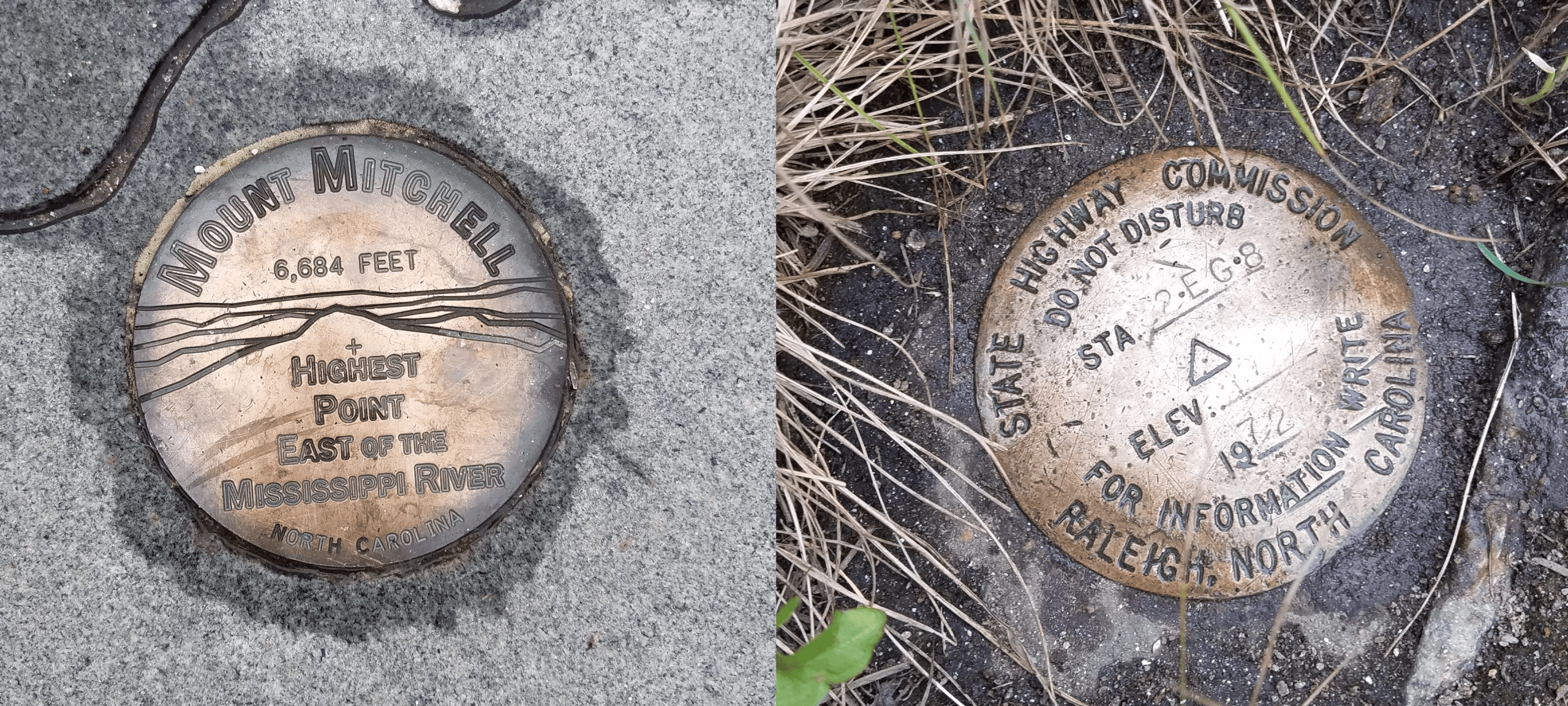 Mt Mitchell and Waterrock Knob benchmarks