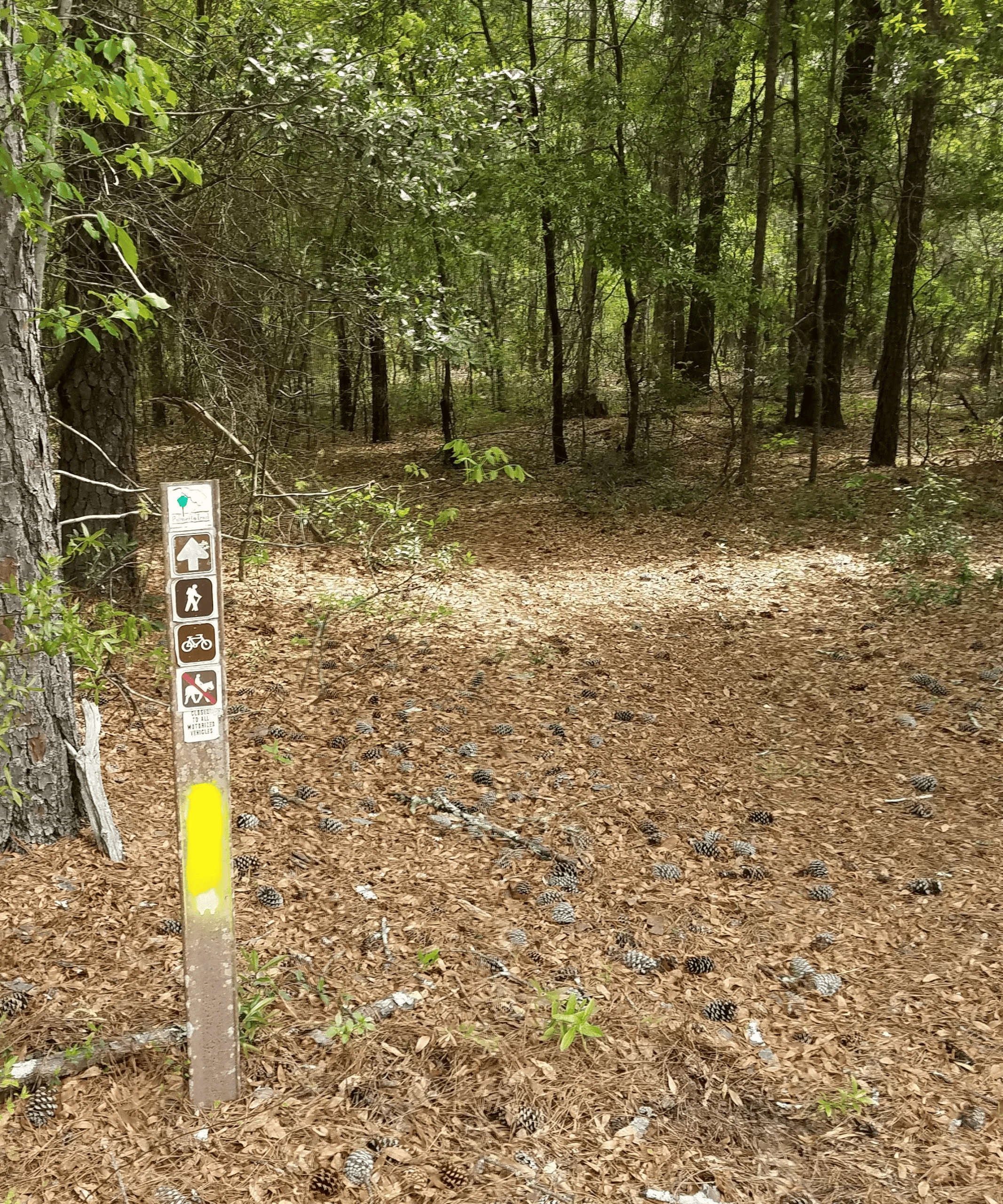 Lake Marion Passage