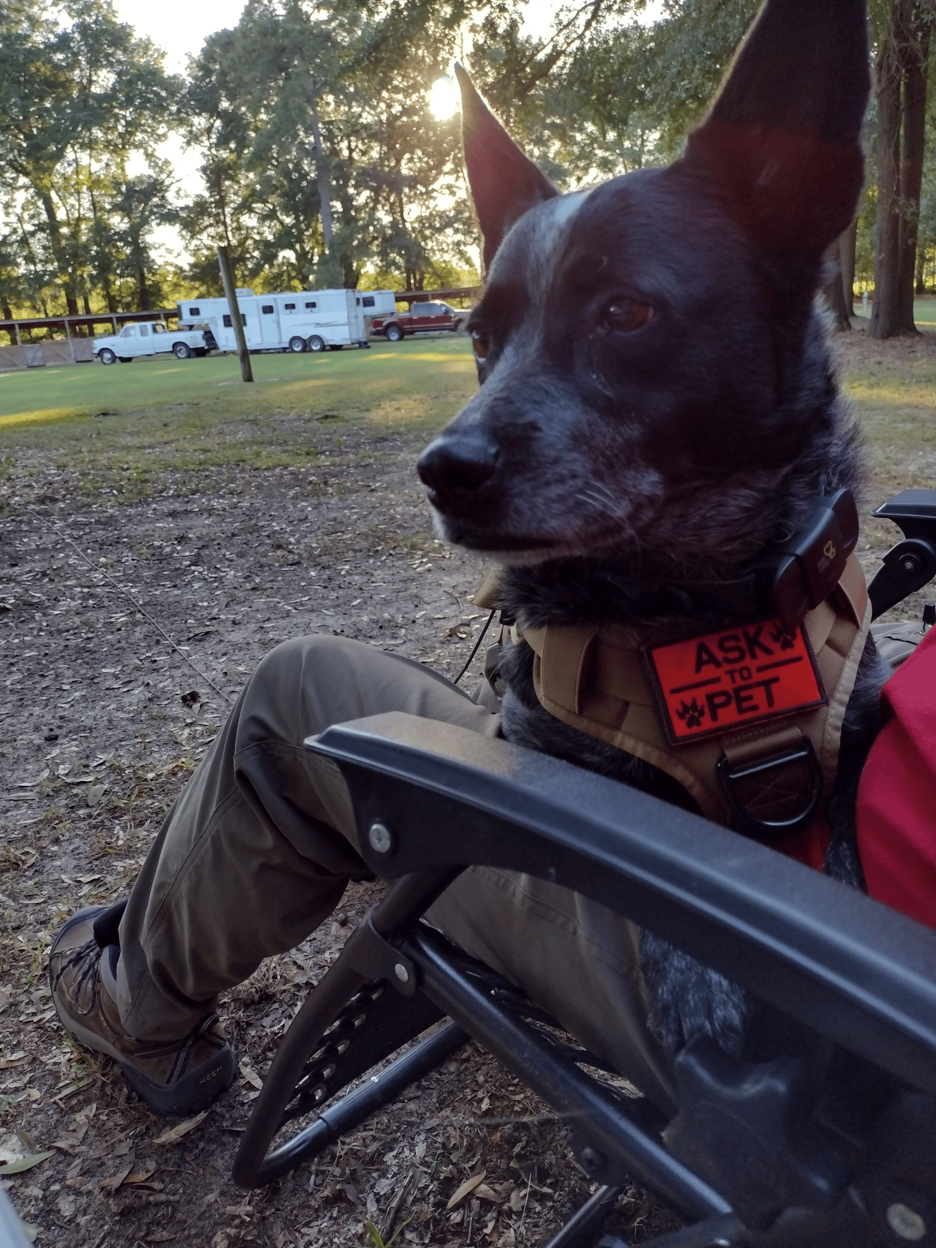 Radar's not sure