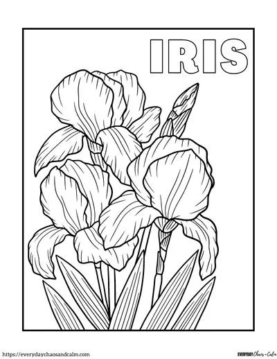 Realistic flower coloring pages