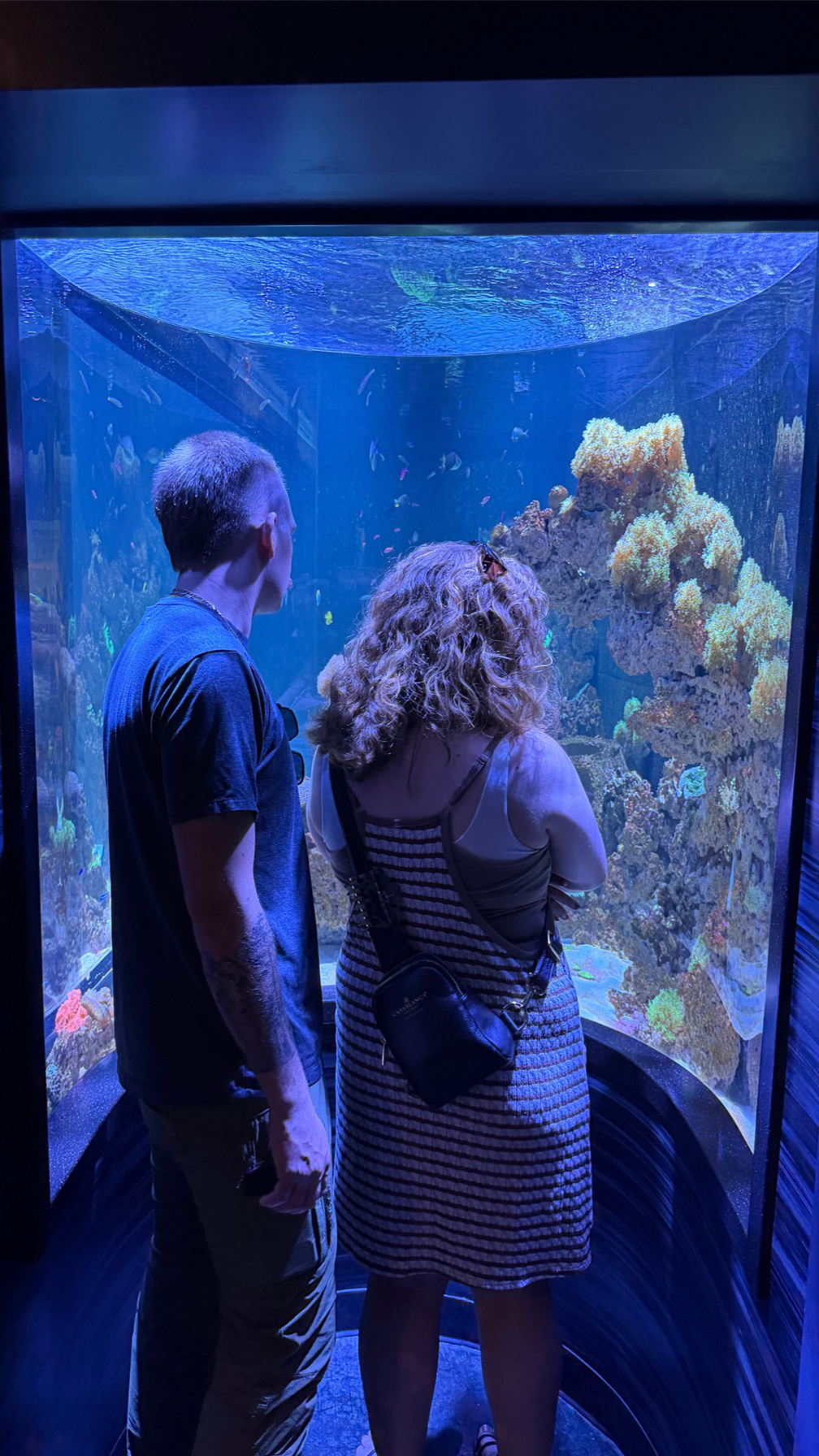 Kait and her husband looking at the aquarium