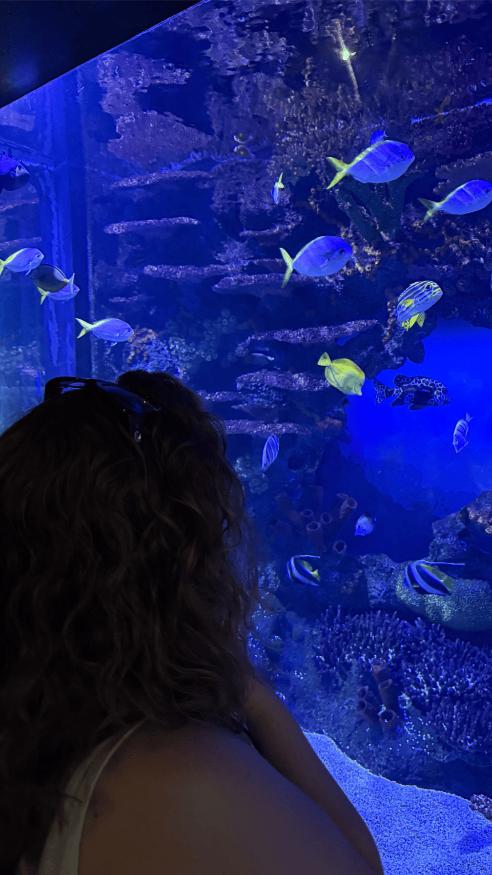 Kait looking into the aquarium