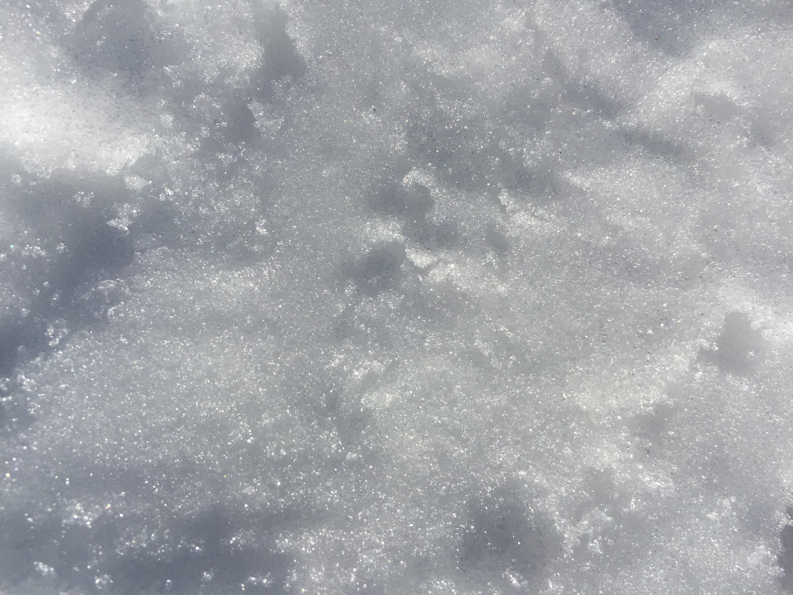 Snow covered ground texture
