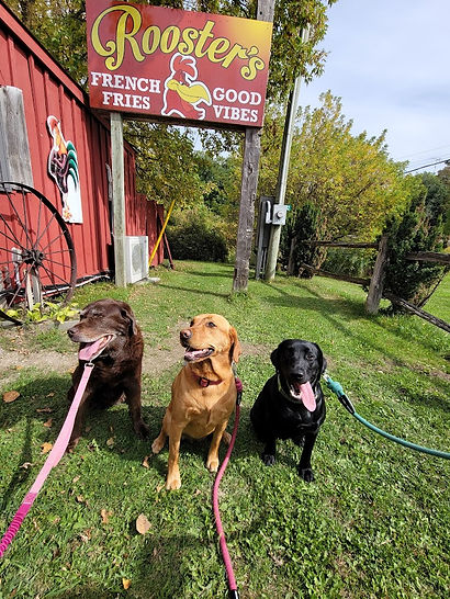 Maze, Nyx and Kenzie at Rooster's Fries