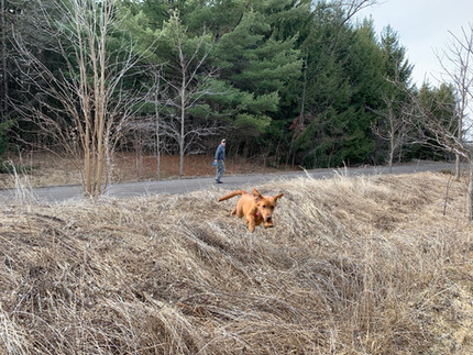 Duffins Creek Conservation