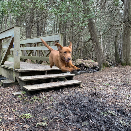 Duffins Creek Conservation