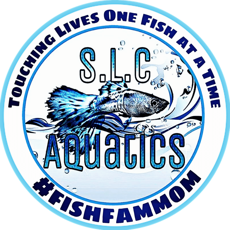 Everything Aquatic Home - Ultra HD Colorful Textures for Desktop