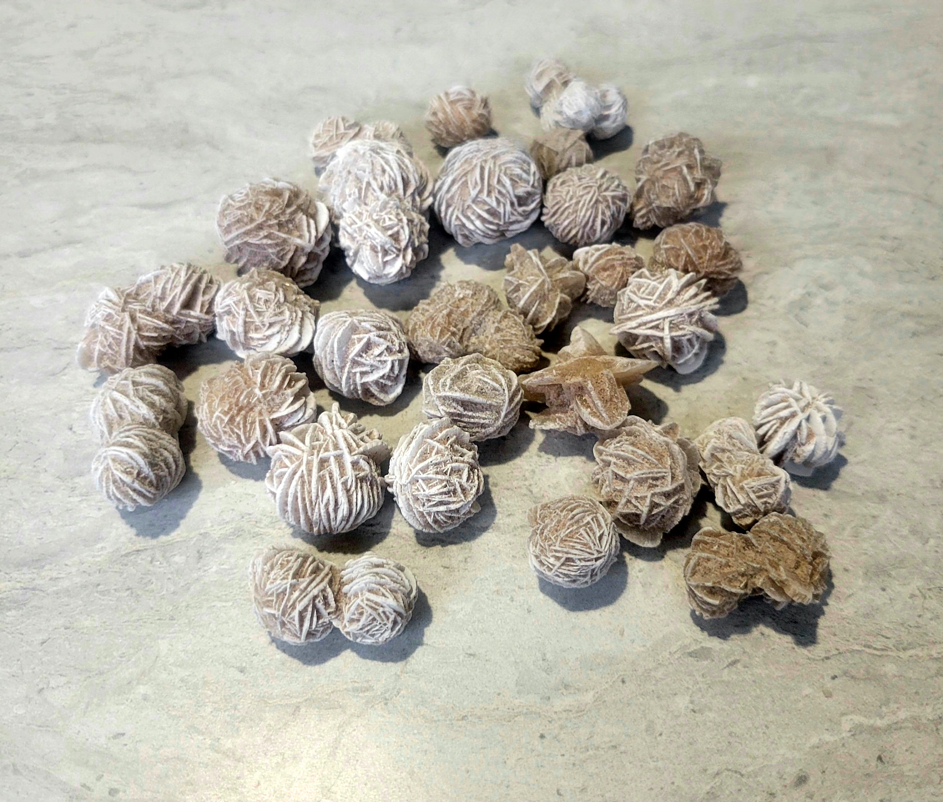 Desert Rose